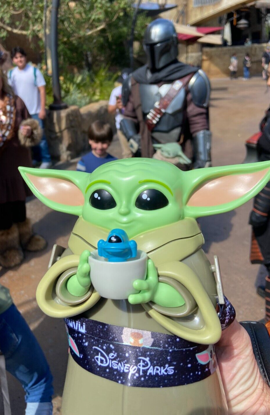 Disney Parks Star Wars Baby Yoda Sipper